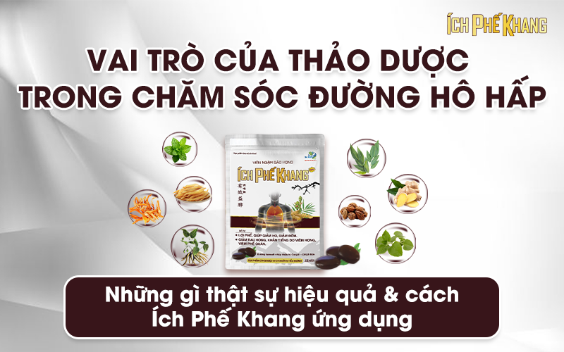 Vai trò thảo dược trong chăm sóc đường hô hấp: phân tích thành phần & ứng dụng Ích Phế Khang